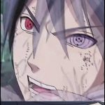 xingr的头像|星极客网络